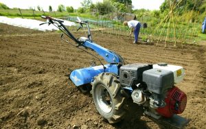 RECAMBIOS-MOTOR-LOMBARDINI