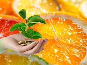 FONDO-DE-INVERSIÓN-CÍTRICOS