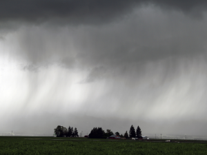 agroseguro-indemnización