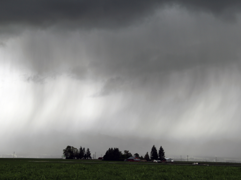 agroseguro-indemnización