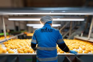 BNF V12.24 PH┬®Gsus-184_alta