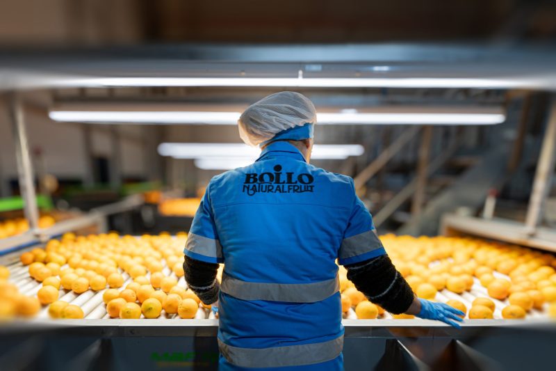 BNF V12.24 PH┬®Gsus-184_alta