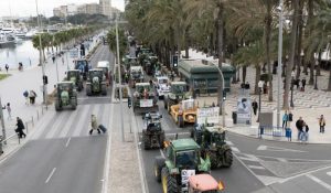 Asaja. Tractorada protesta MERCOSUR. AGRICULTORES