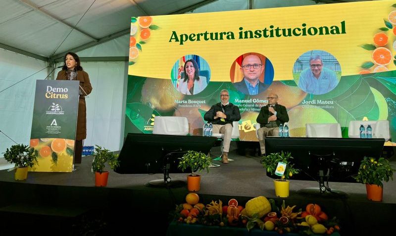 Democitrus 2025, 2