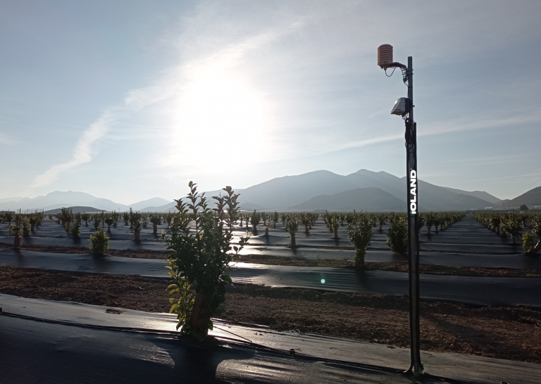 ESTACION DE RIEGO-IOLAND