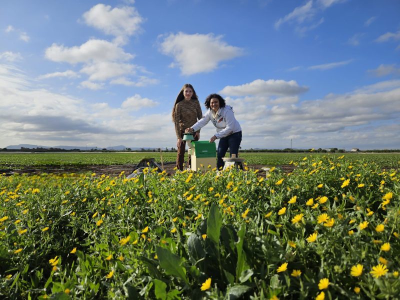 FOTO NEWAGROMARMENOR