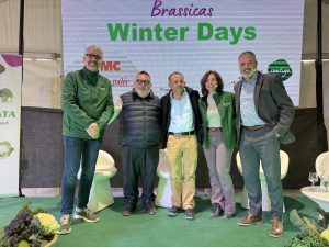 SAKATA-BRASSICAS-WINTER-DAYS