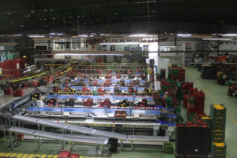 AYUDAS-AGROINDUSTRIA