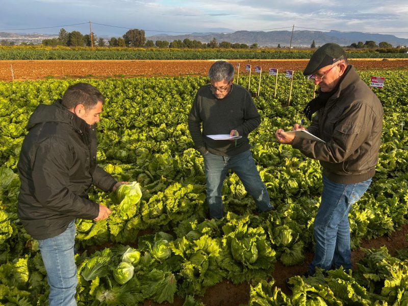 Mini Demos enero 2026 (21)