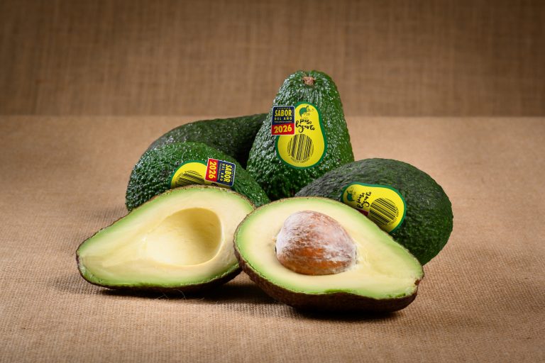 SABOR-DEL-AÑO-AGUACATE