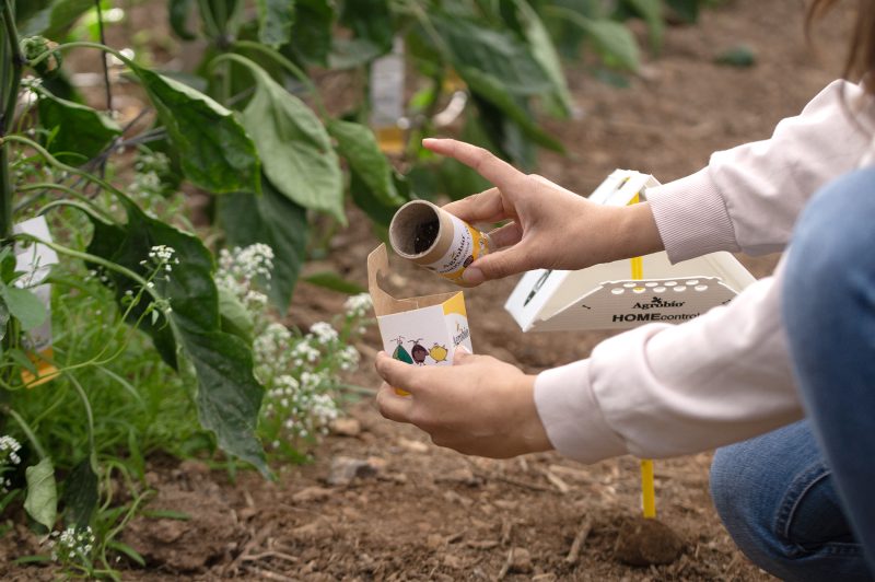 Sueltas preventivas con HOMEcontrol-AGROBIO