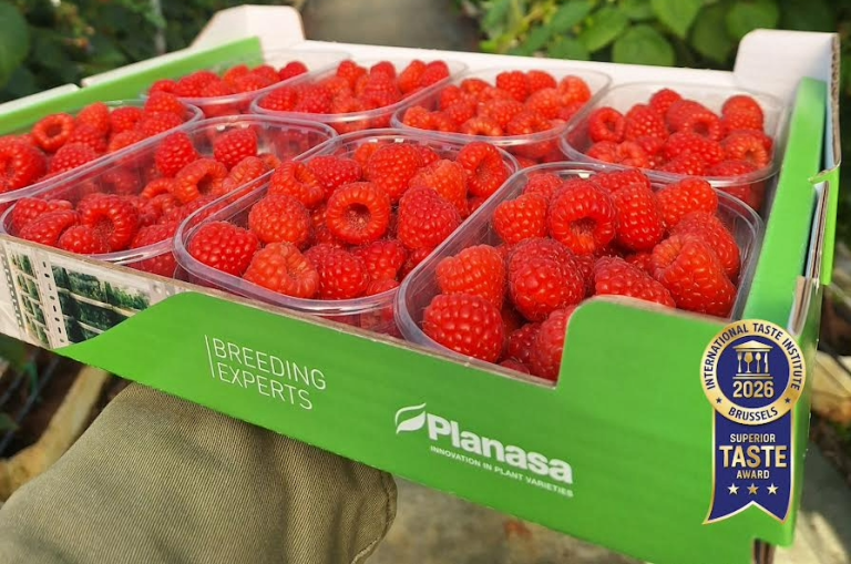 SUPERIOR-TASTE-AWARD-PLANASA