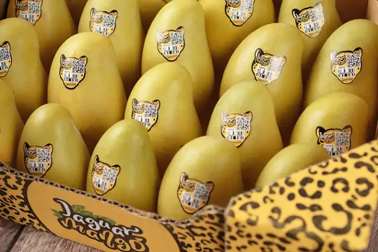 jaguar-mango-SPLENDID-BY-PORVENIR