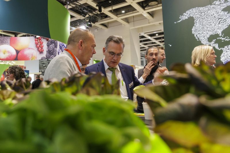 RIJK ZWAAN-FRUIT-LOGISTICA