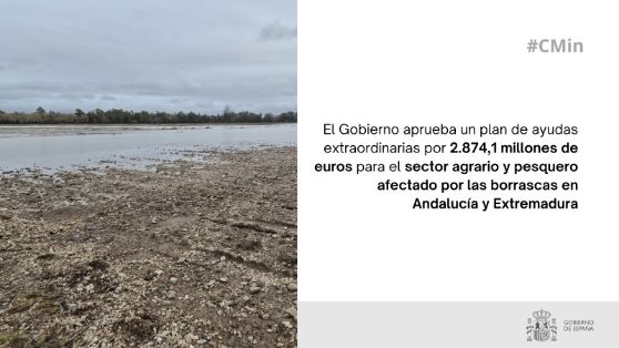 17.02.2026 CM Ayudas