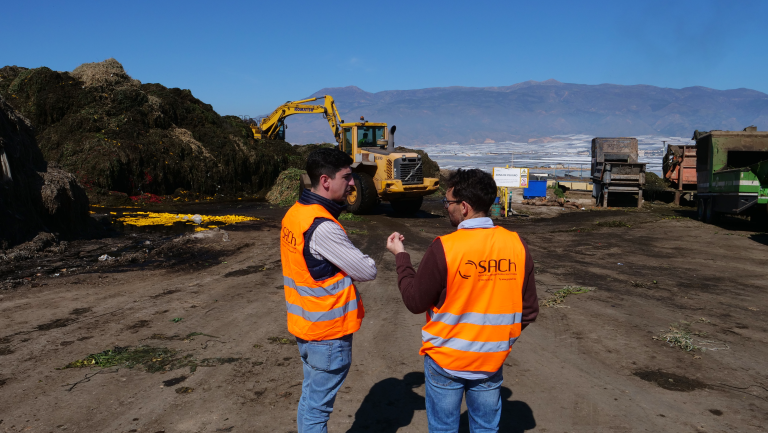 EL-EJIDO-THRIPS-PARVISPINUS