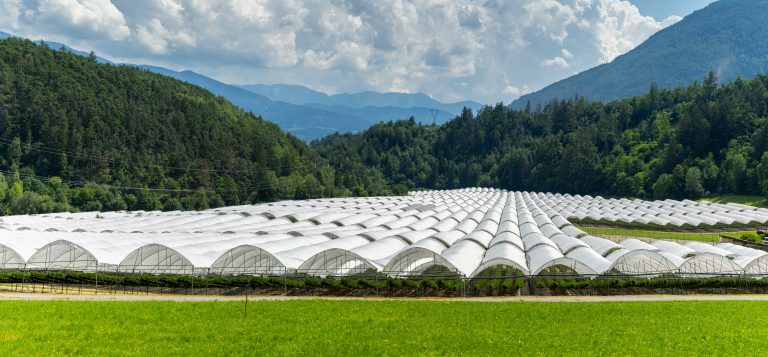 Arrigoni_Agrotextiles