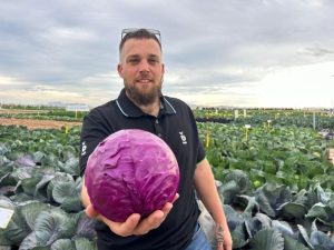 Bejo col lombarda Cairo