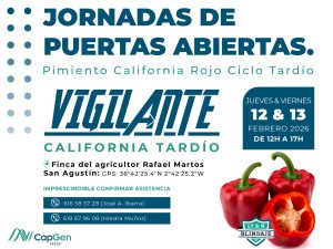 CAPGEN-SEEDS-VIGILANTE