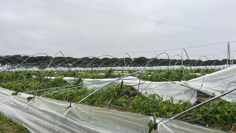 DAÑOS-LLUVIA-ANDALUCIA