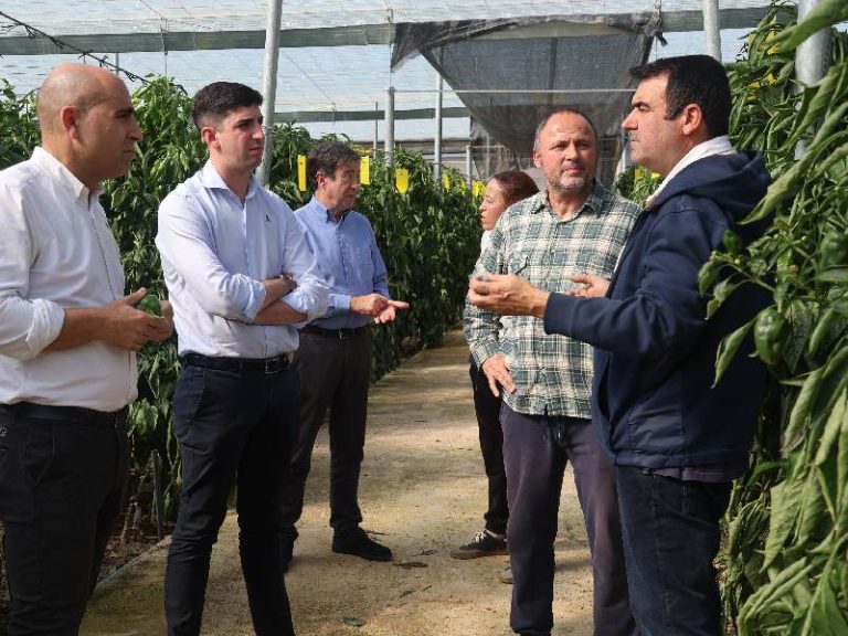 Daños cultivo pimiento borrasca Oriana en Almería