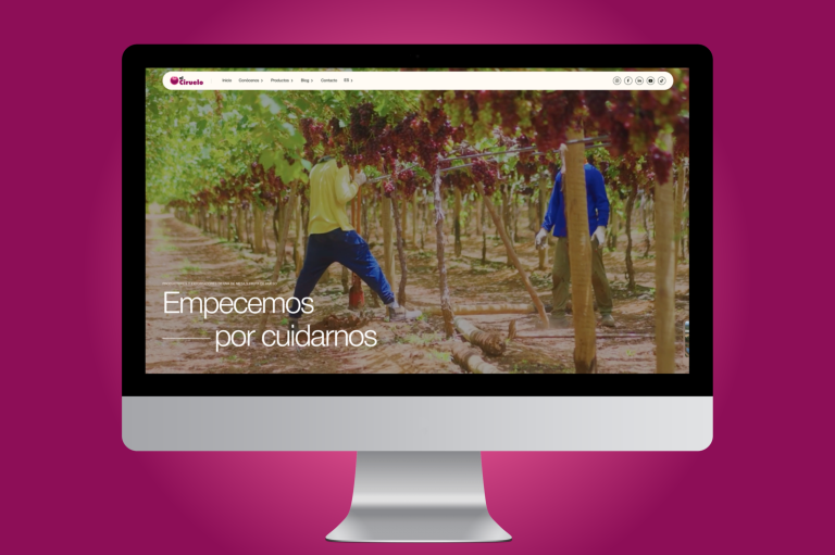 EL CIRUELO NUEVA WEB