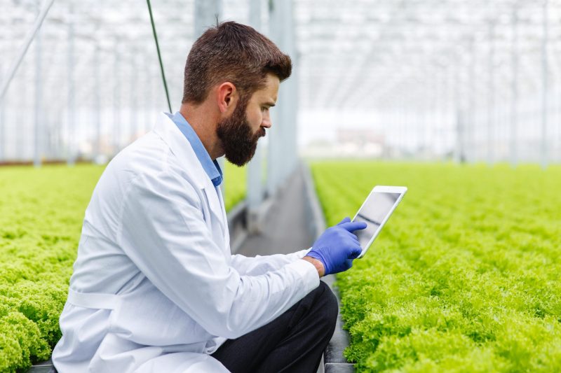 Bearded male researcher studies plants with a tablet standing in