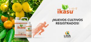 IKASU-LIDA-PLANT-RESEARCH