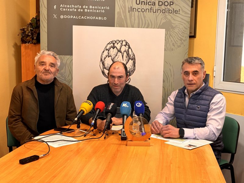 alcachofa-de-benicarló