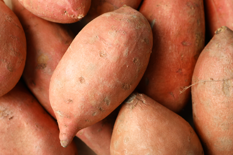 NORTH-CAROLINA-SWEETPOTATOES