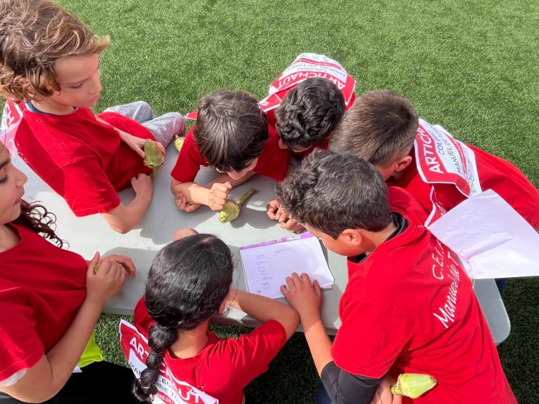 Olimpiadas_alcachofa6