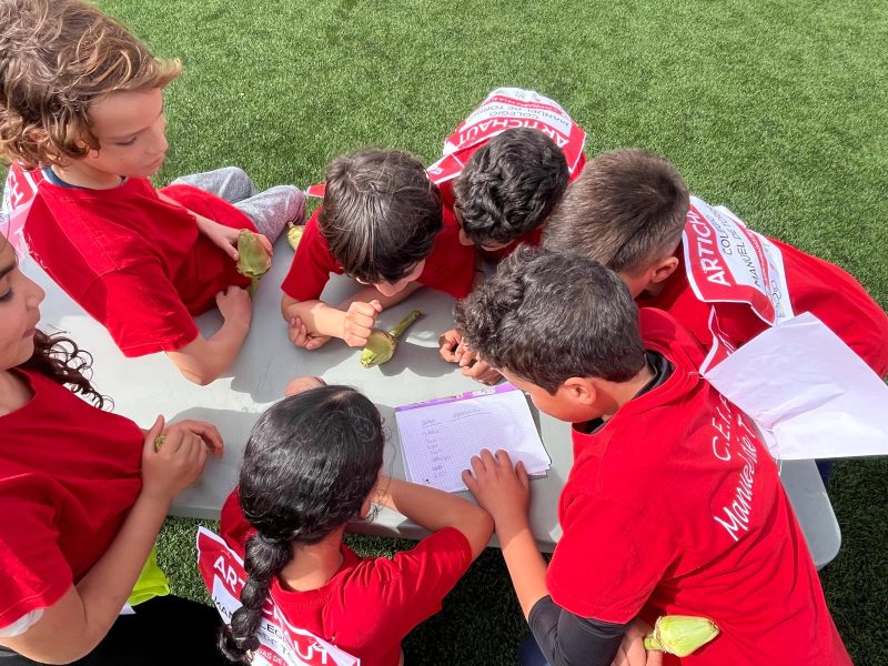 Olimpiadas_alcachofa6