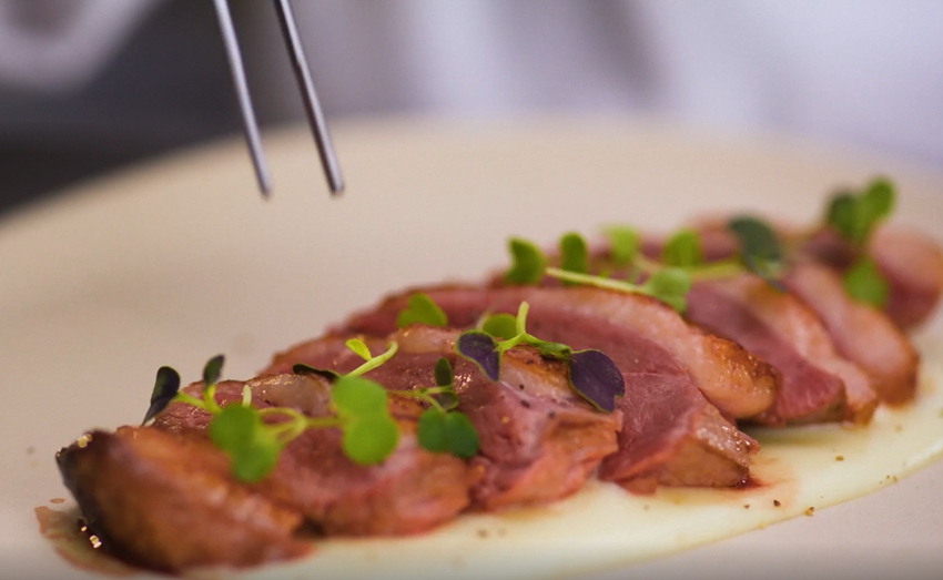 FLORETTE-MICRO-BROTES