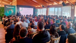 Presentación Velsinum 3