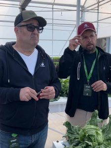 Rijk Zwaan hidropónico_Saiz y Román Re