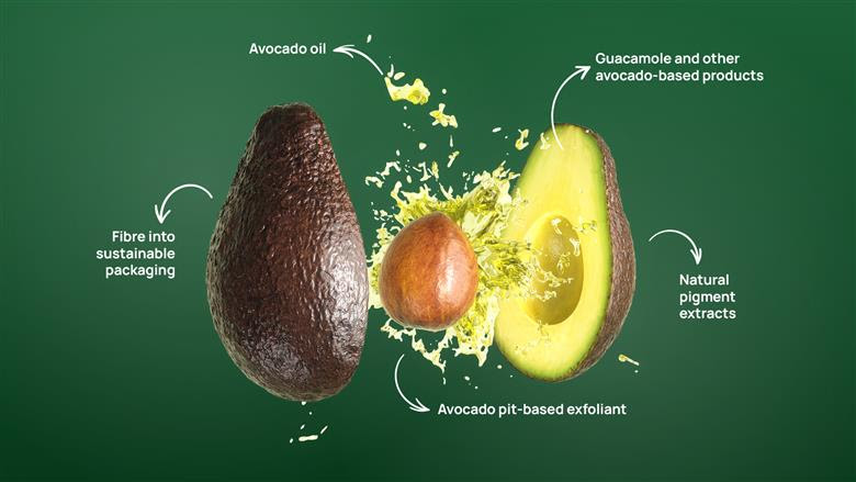 WESTFALIA-FRUIT-AVOCADO