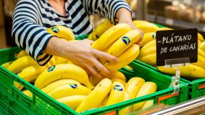 PLÁTANO-DE-CANARIAS