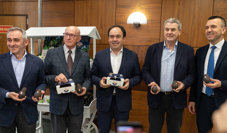 ava_aguacate_valenciano (1)