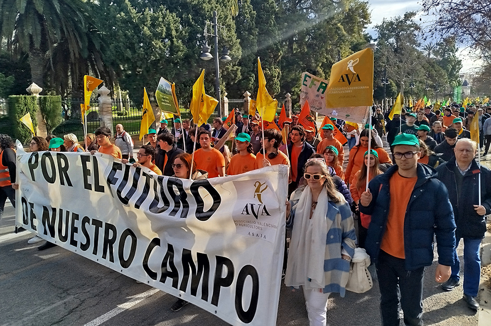 ava_manifestacion_mercosur