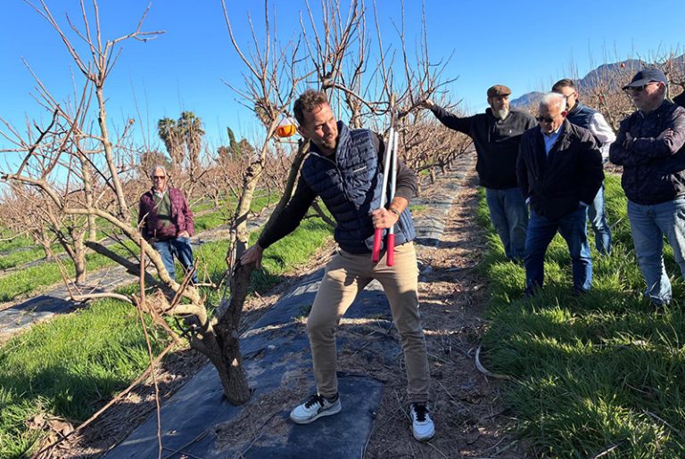 ava_sectorial_caqui_2