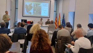 conselleria_agricultura_virus