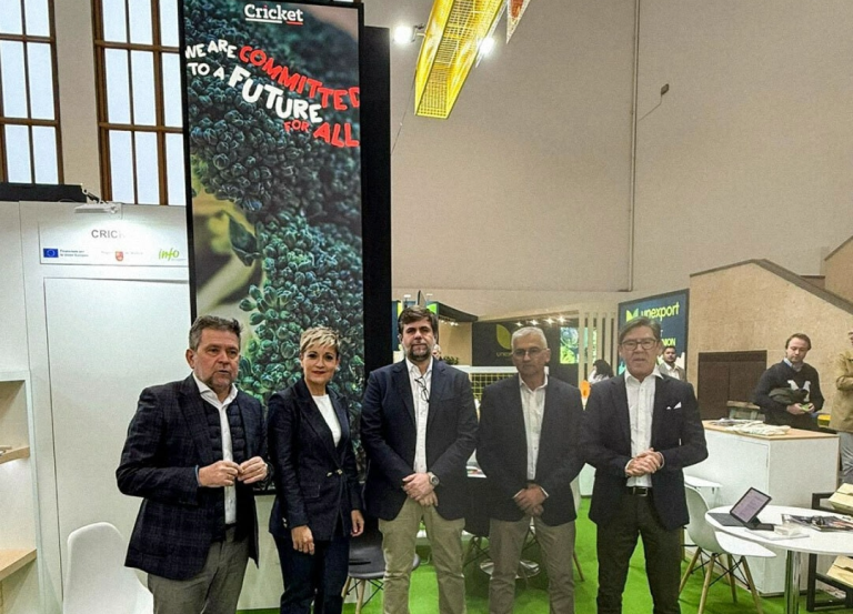 CRICKET-CAMPO-DE-LORCA