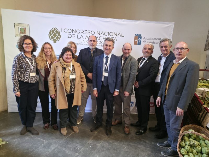 ALCACHOFA-BENICARLÓ