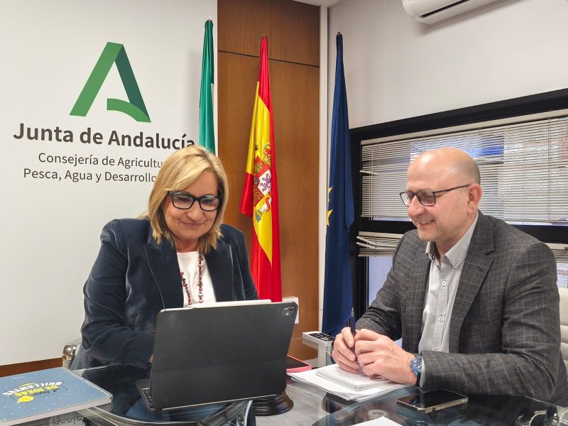 BORRASCA-ANDALUCÍA