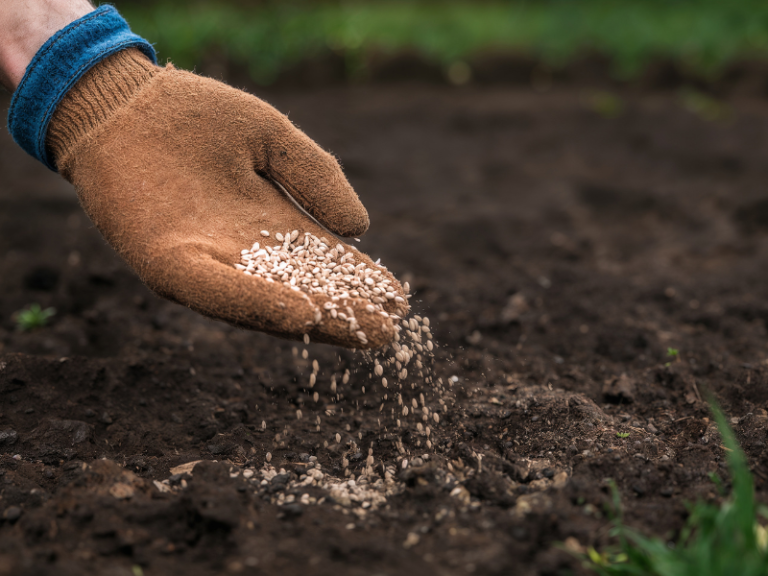 FERTILIZANTES-GUERRA