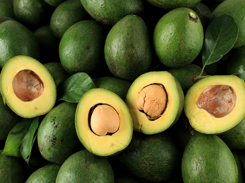 SOUTH-AFRICA-AVOCADO