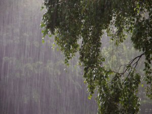 AUSTRALIA-RAINS