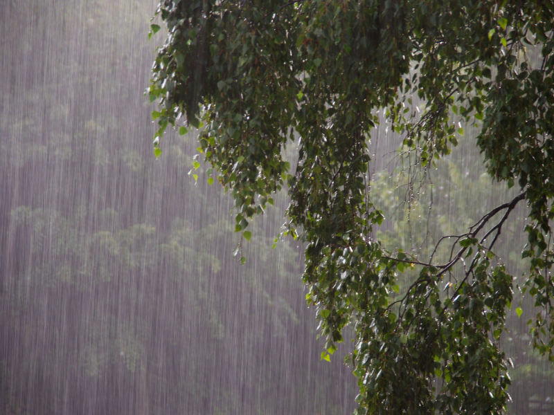 AUSTRALIA-RAINS