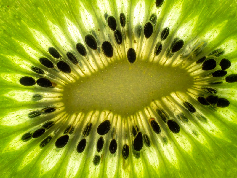 KIWI-FRUIT
