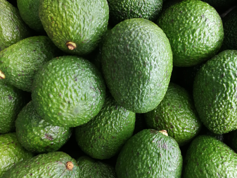 ALCOAXARQUIA-DESALADORA